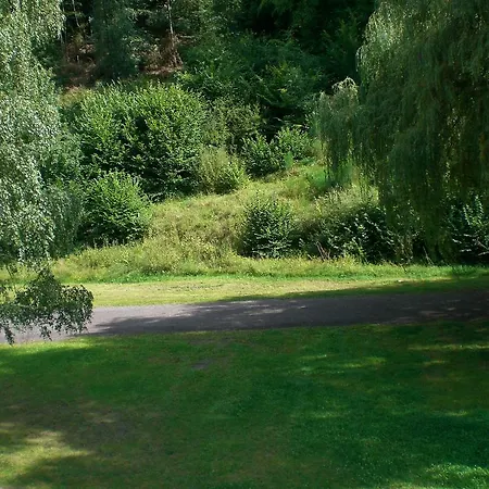 Gasthaus-pension Waldesruhe Schwarzbach