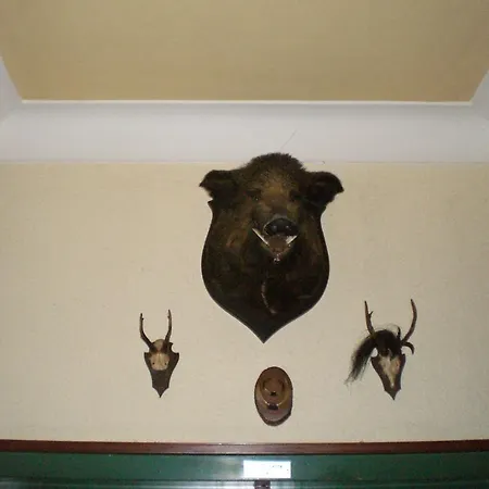 Gasthaus-pension Waldesruhe